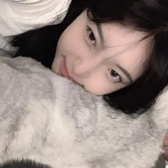 机动战士高达 雷霆宙域